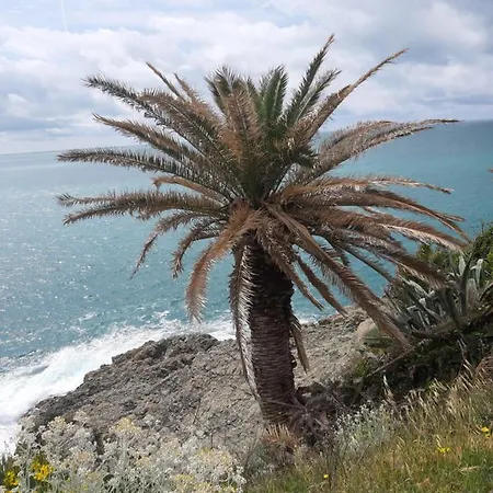 Bed & Breakfast Fabienne 3*