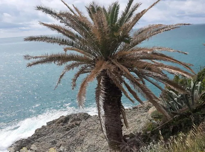 Bed and Breakfast Fabienne 3*